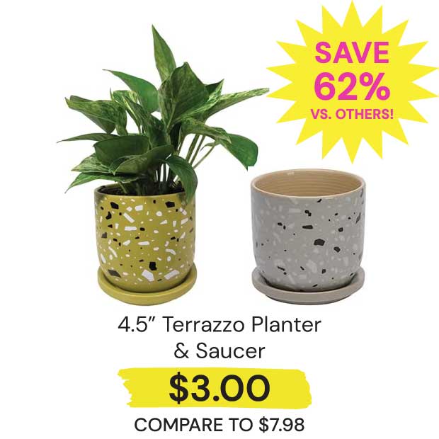 $3 4.5" Terrazzo Planter & Saucer Save 62% vs. Others!